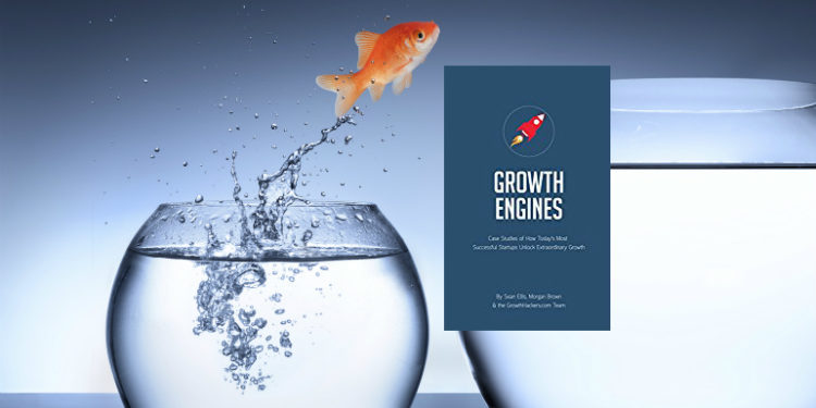 Growth Engines by Seth Ellis